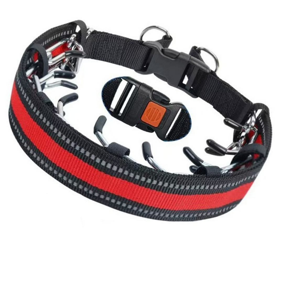 Trainingshalsband voor honden met verstelbare pasvorm voor dagelijkse wandelingen