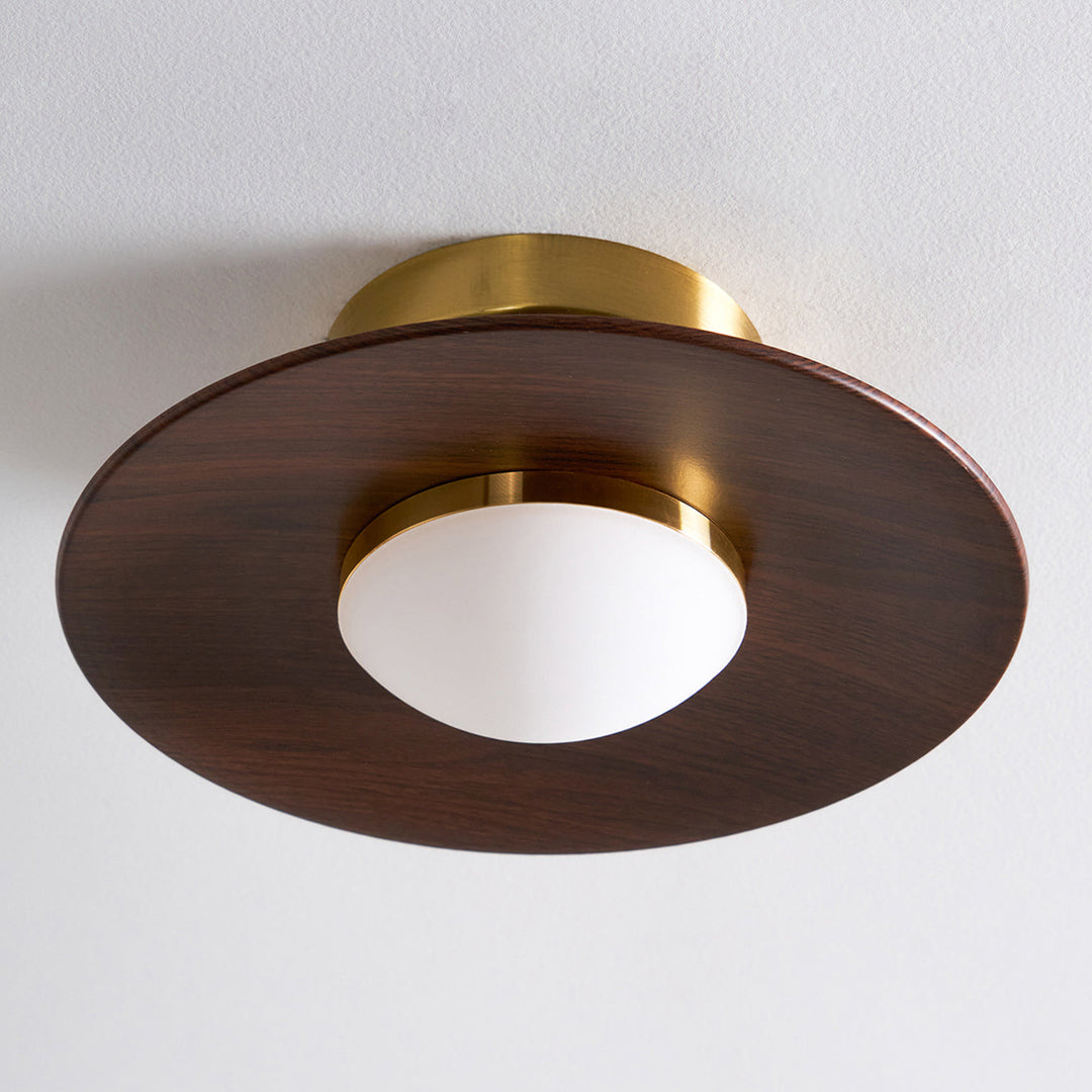 Eigentijdse LED-plafondlamp, compact ontwerp voor opbouwmontage