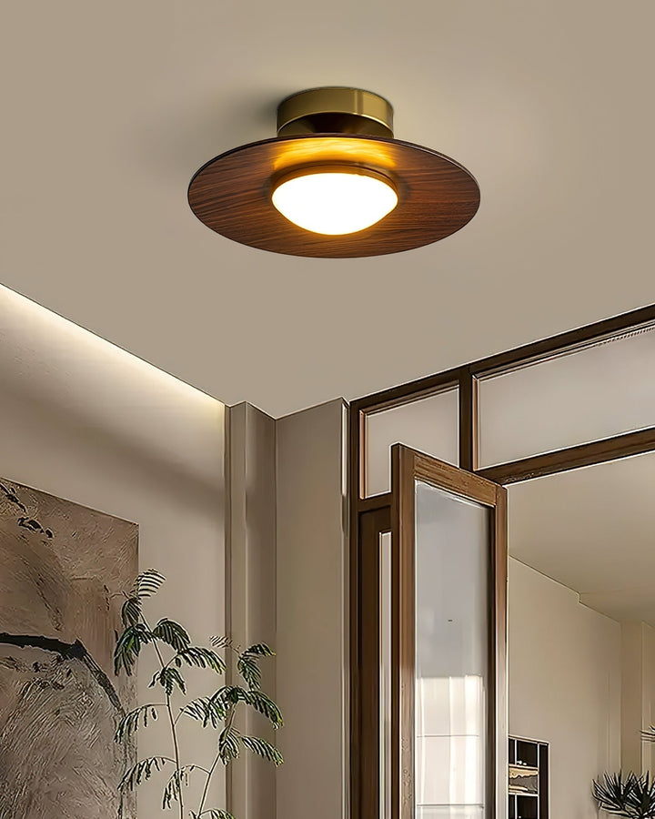 Eigentijdse LED-plafondlamp, compact ontwerp voor opbouwmontage