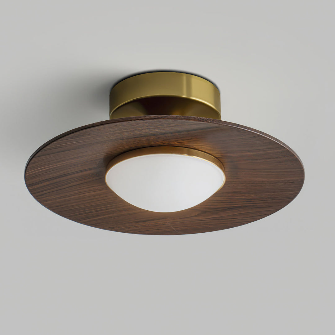 Eigentijdse LED-plafondlamp, compact ontwerp voor opbouwmontage