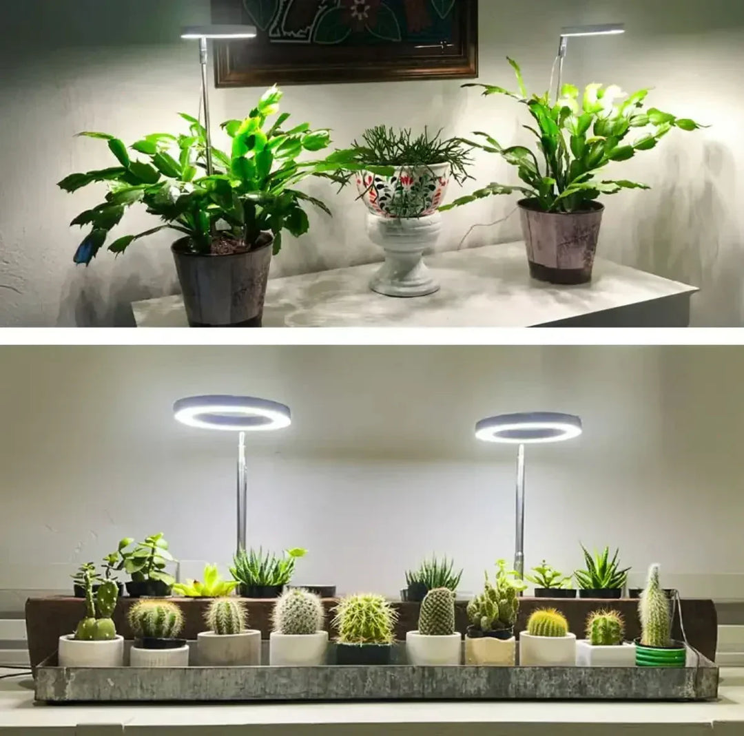 Led-kweeklamp met volledig spectrum, timer en dimfunctie