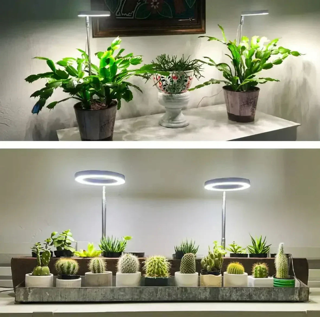 Full-spectrum led-plantenlamp met timer en dimfunctie