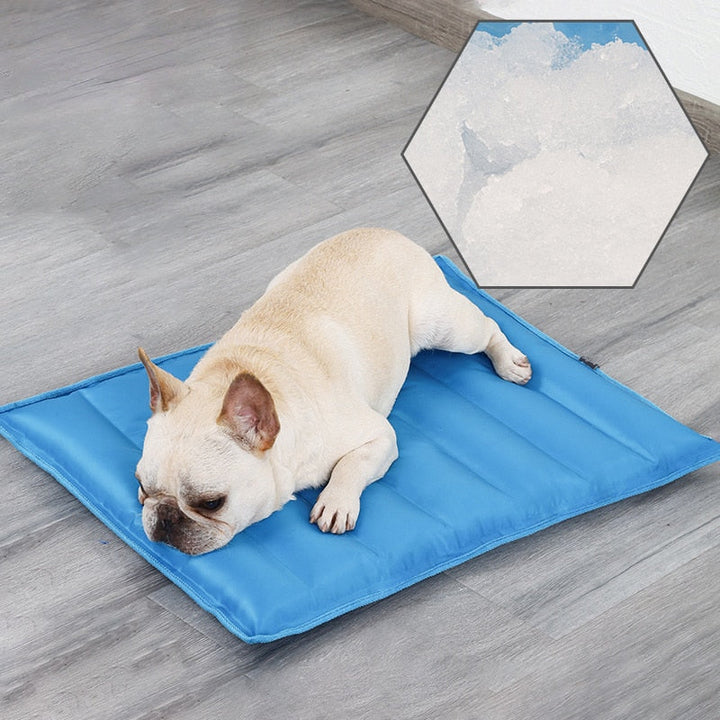 Koelmat voor huisdieren, perfect voor warme zomerdagen