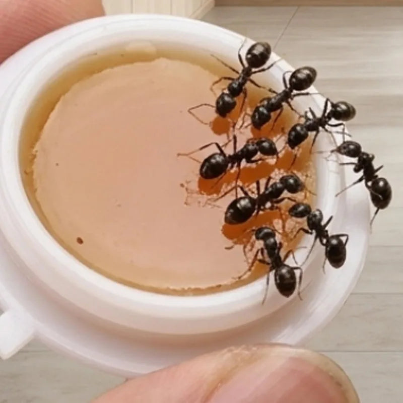 Mierenlokdoos voor in huis, keuken en tuin