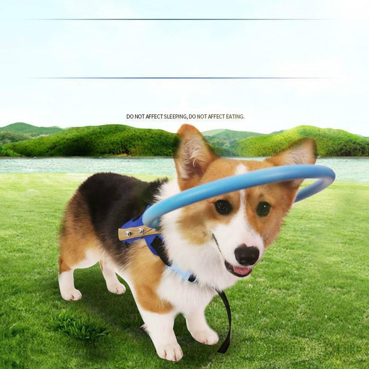 Beschermende bumperhalsband met harnas, loophulp voor blinde honden