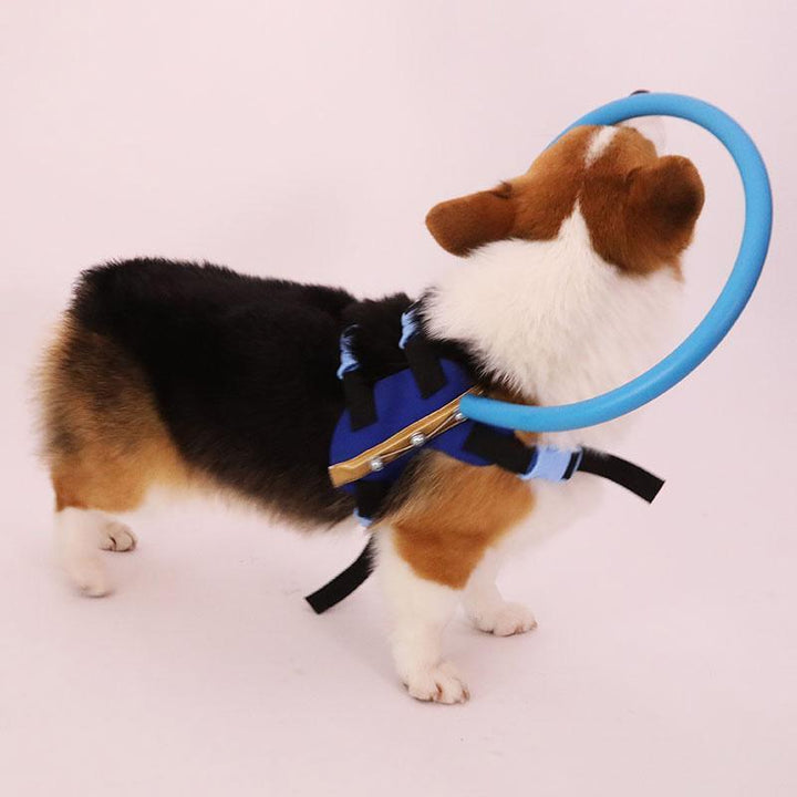 Beschermende bumperhalsband met harnas, loophulp voor blinde honden