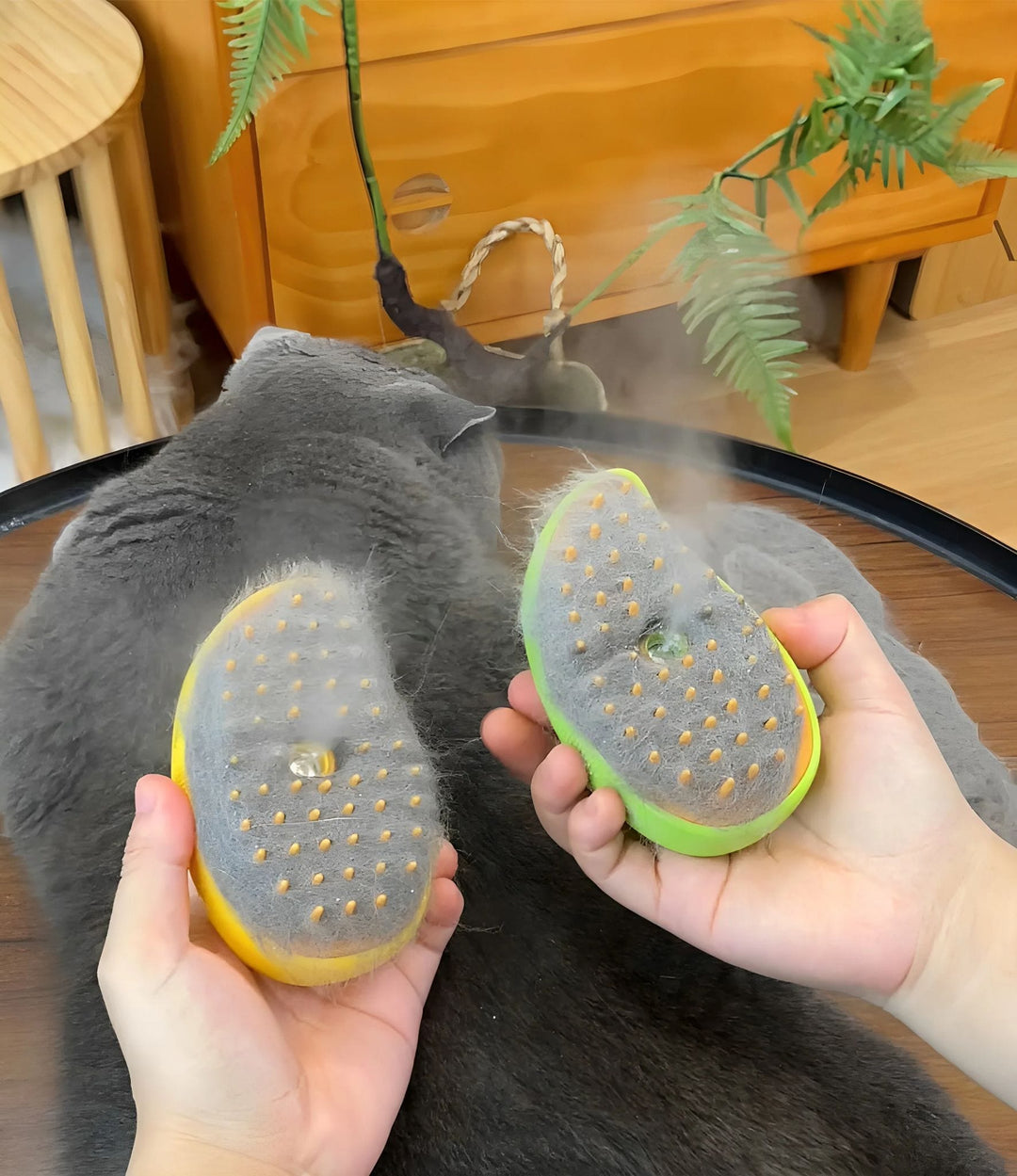 Stomende Kattenborstel
