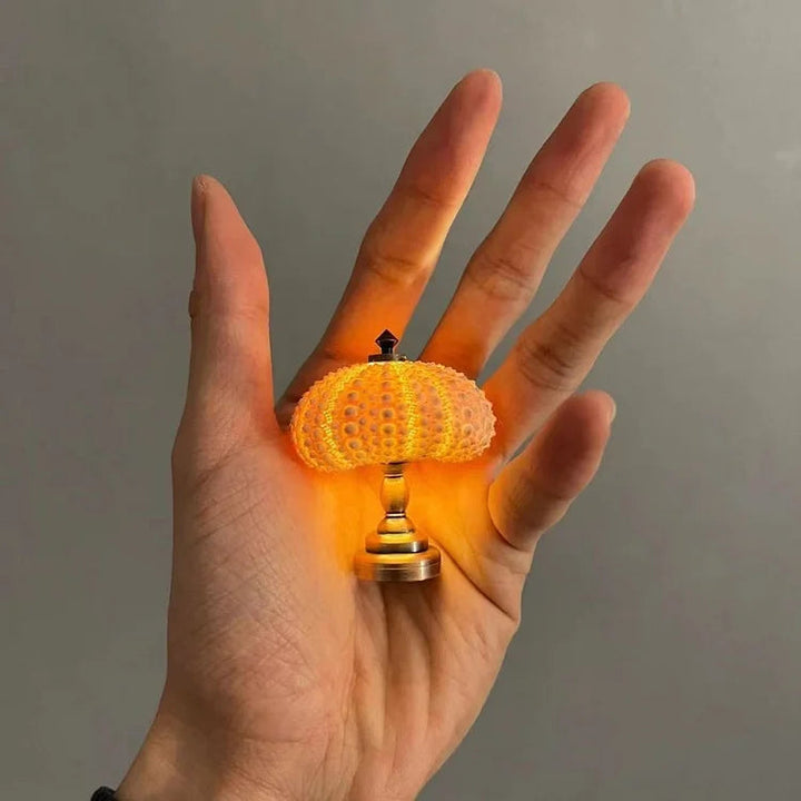 Vision - Unieke Sfeerlamp van Natuurlijke Zeeschelpen voor Ontspanning en Decoratie