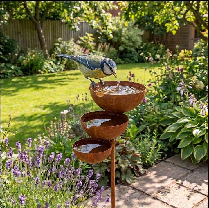 Driedelig vogelbad | Breng je tuin elke ochtend tot leven