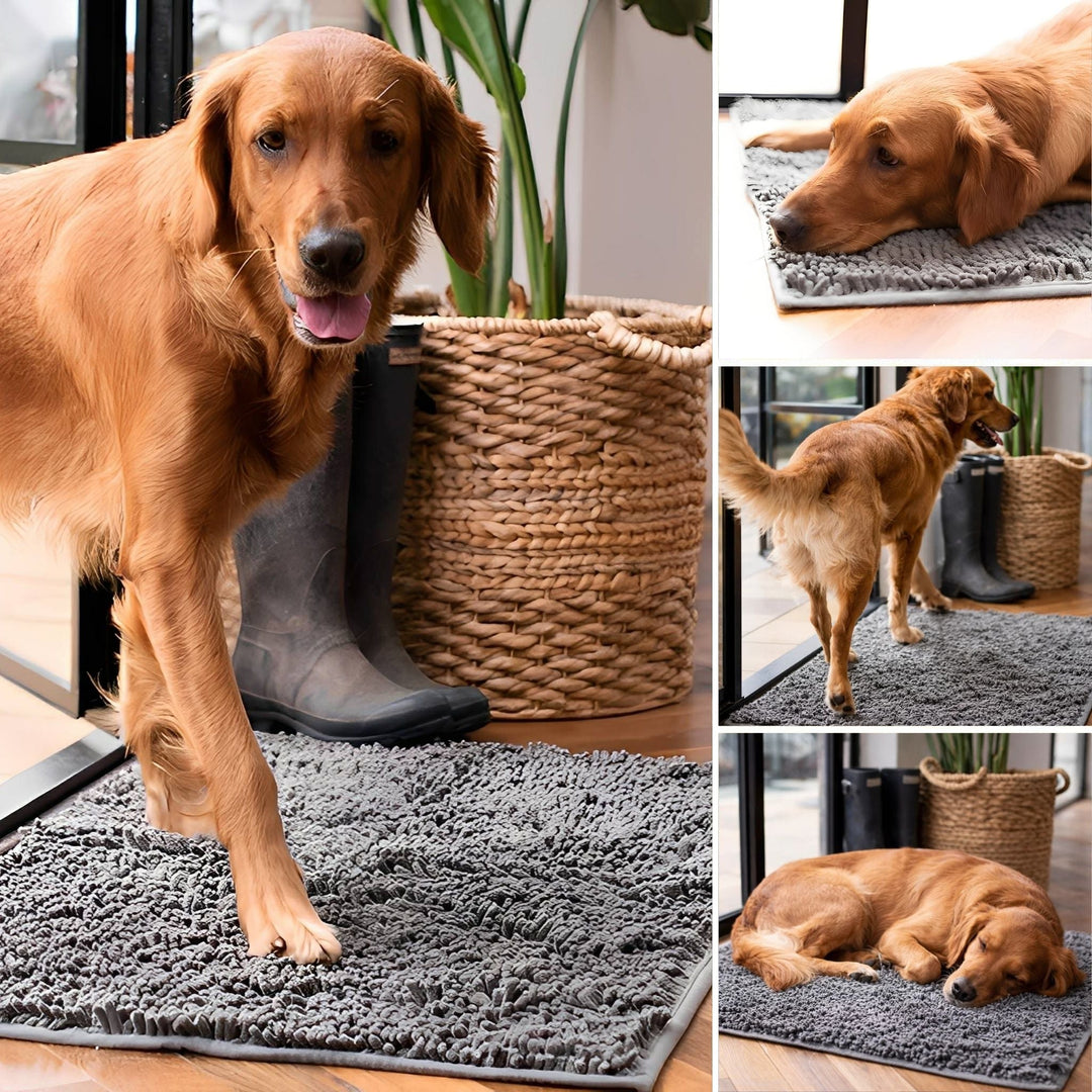 Absorberende antislip deurmat voor honden met vuile poten
