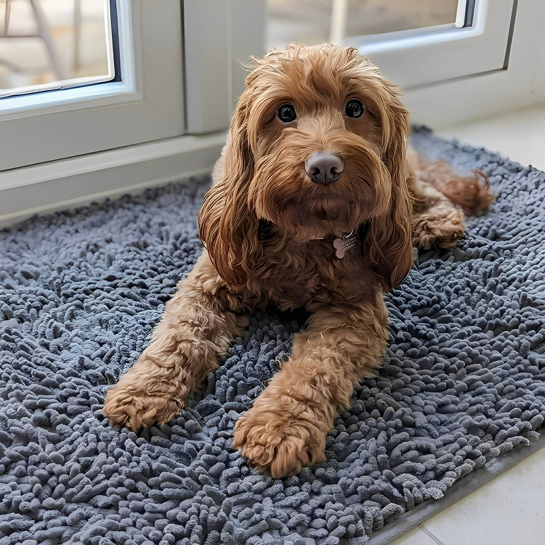 Absorberende antislip deurmat voor honden met vuile poten