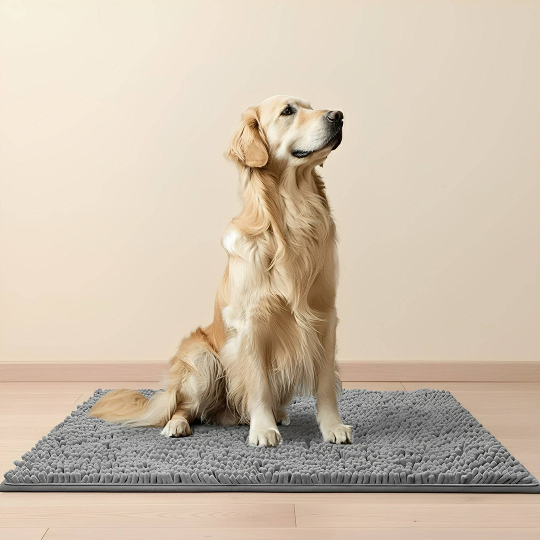 Absorberende antislip deurmat voor honden met vuile poten