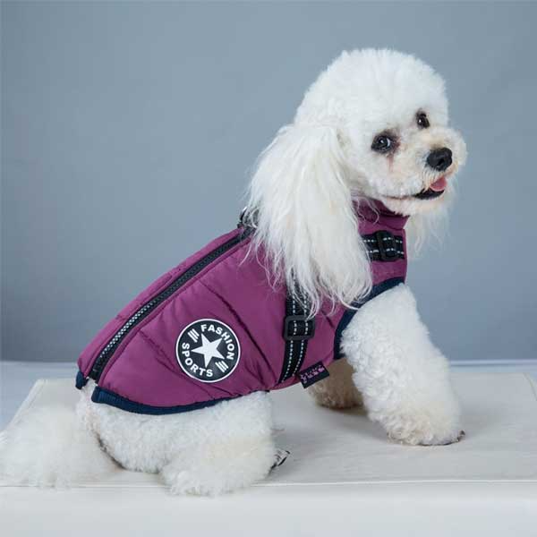 PupGuard - Winterjas voor honden met tuigje