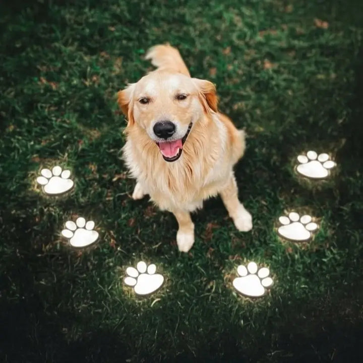 Dierenpootpadverlichting, milieuvriendelijke solar-tuindecoratie
