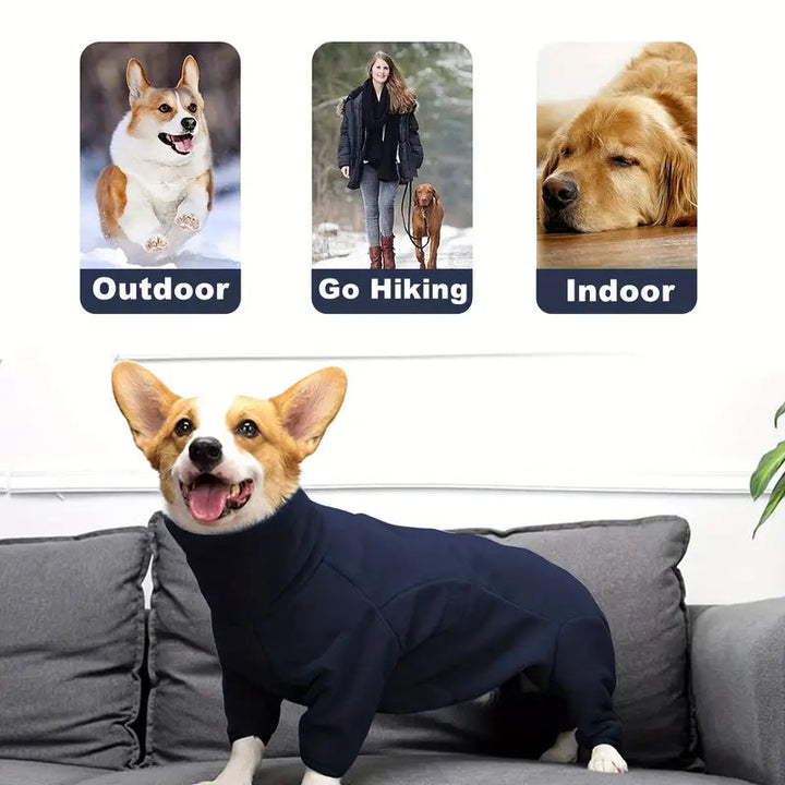 PawProtect - Winddichte Winterjas Voor Honden Met Volledige Bescherming