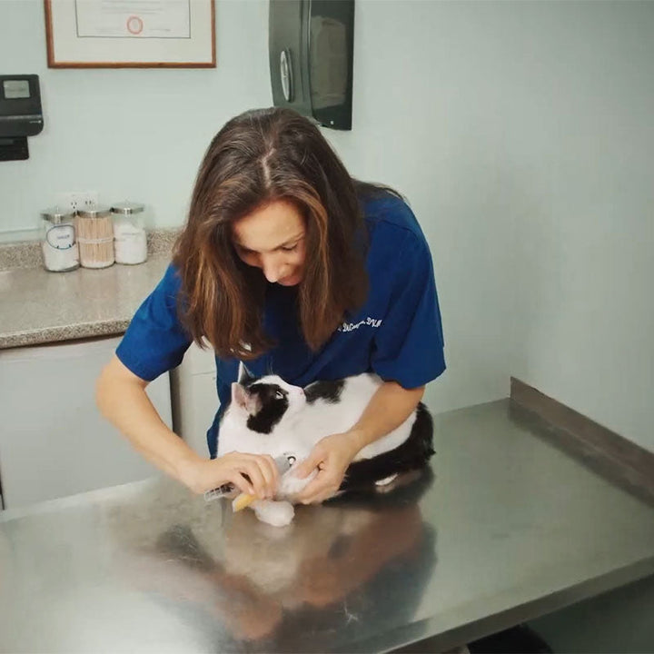 PetSafe - LED Nagelknipser Voor Honden & Katten Met Veiligheidssensor