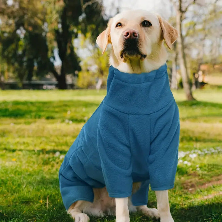 PawProtect - Winddichte Winterjas Voor Honden Met Volledige Bescherming
