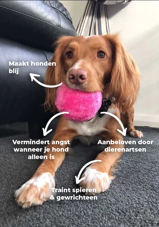 Actieve speelbal - Anti-stress Automatische Bal