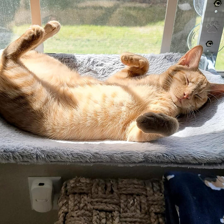 Opvouwbare Kattenhangmat