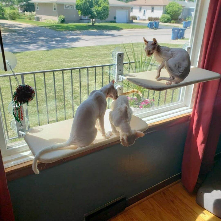 Opvouwbare Kattenhangmat