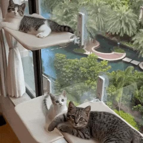Opvouwbare Kattenhangmat