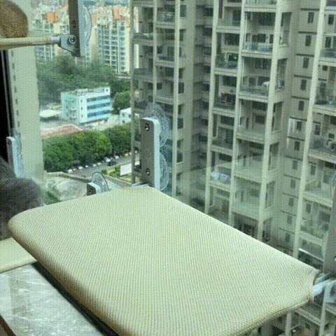 Opvouwbare Kattenhangmat