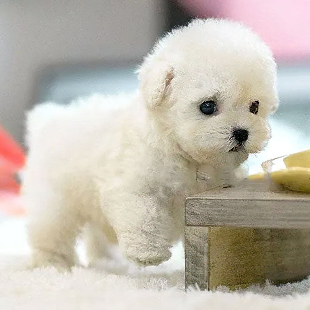 Interactief puppyspeelgoed met reactie op stem en aanraking