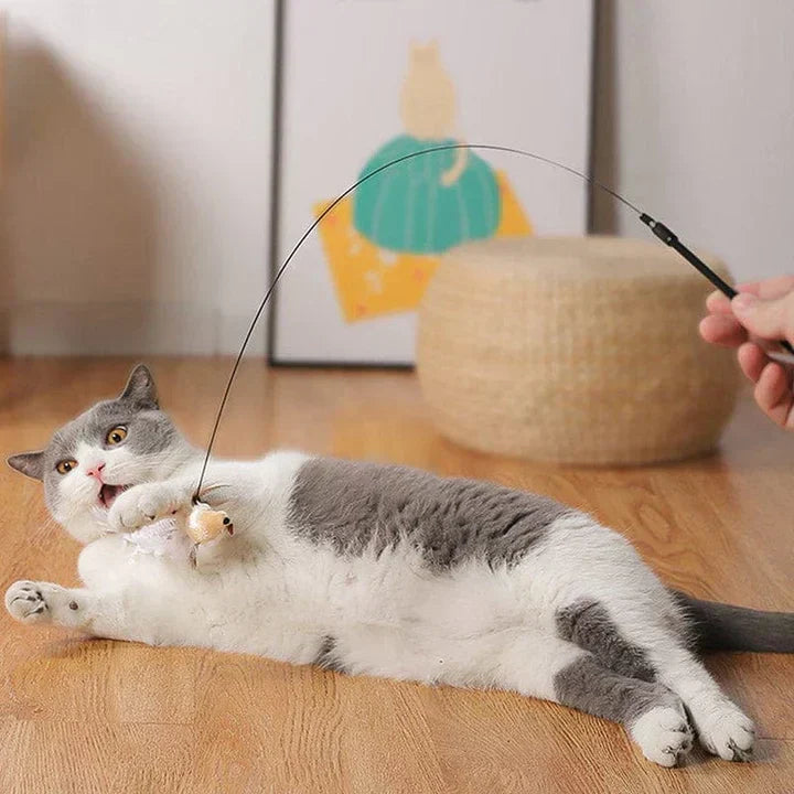 Interactief Kattenspeeltje - FlutterFriend