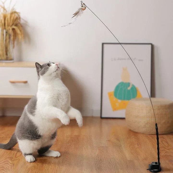 Interactief Kattenspeeltje - FlutterFriend