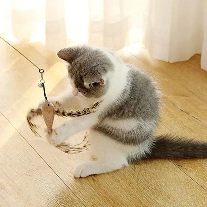 Interactief Kattenspeeltje - FlutterFriend