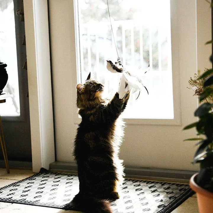 Interactief Kattenspeeltje - FlutterFriend