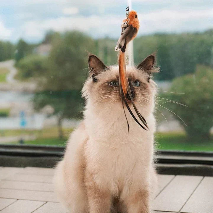 Interactief Kattenspeeltje - FlutterFriend
