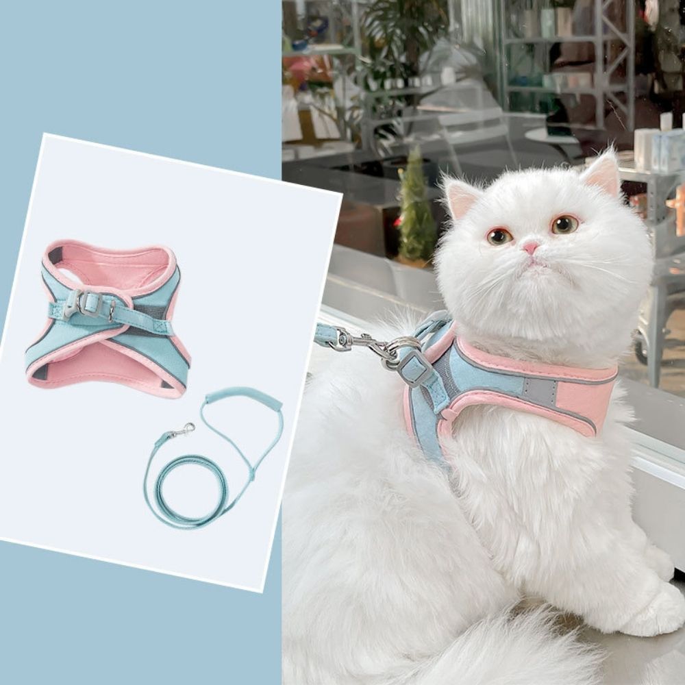 Kattentuig – Oscar