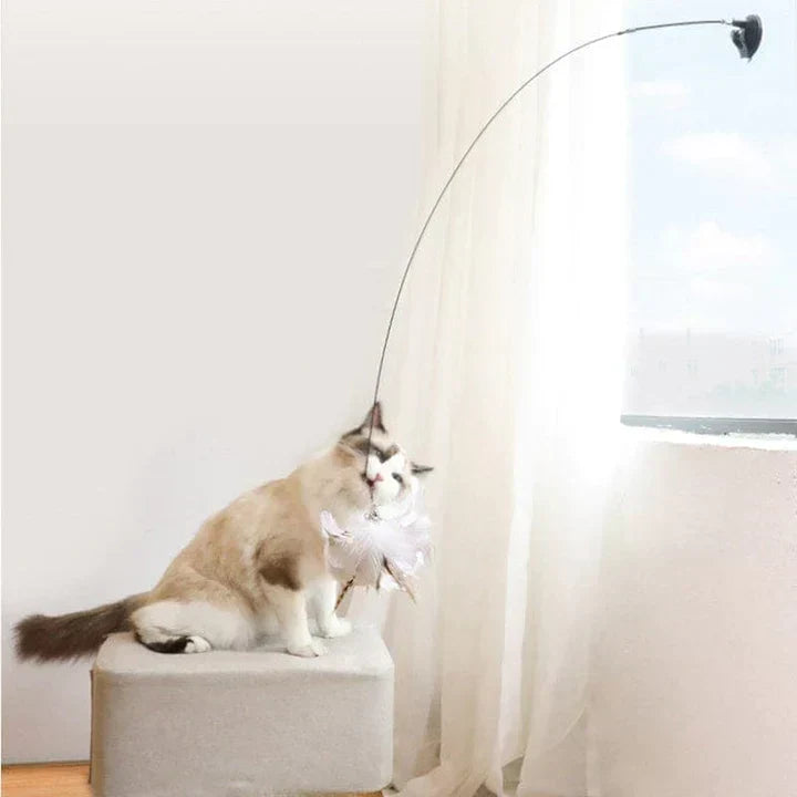Interactief Kattenspeeltje - FlutterFriend