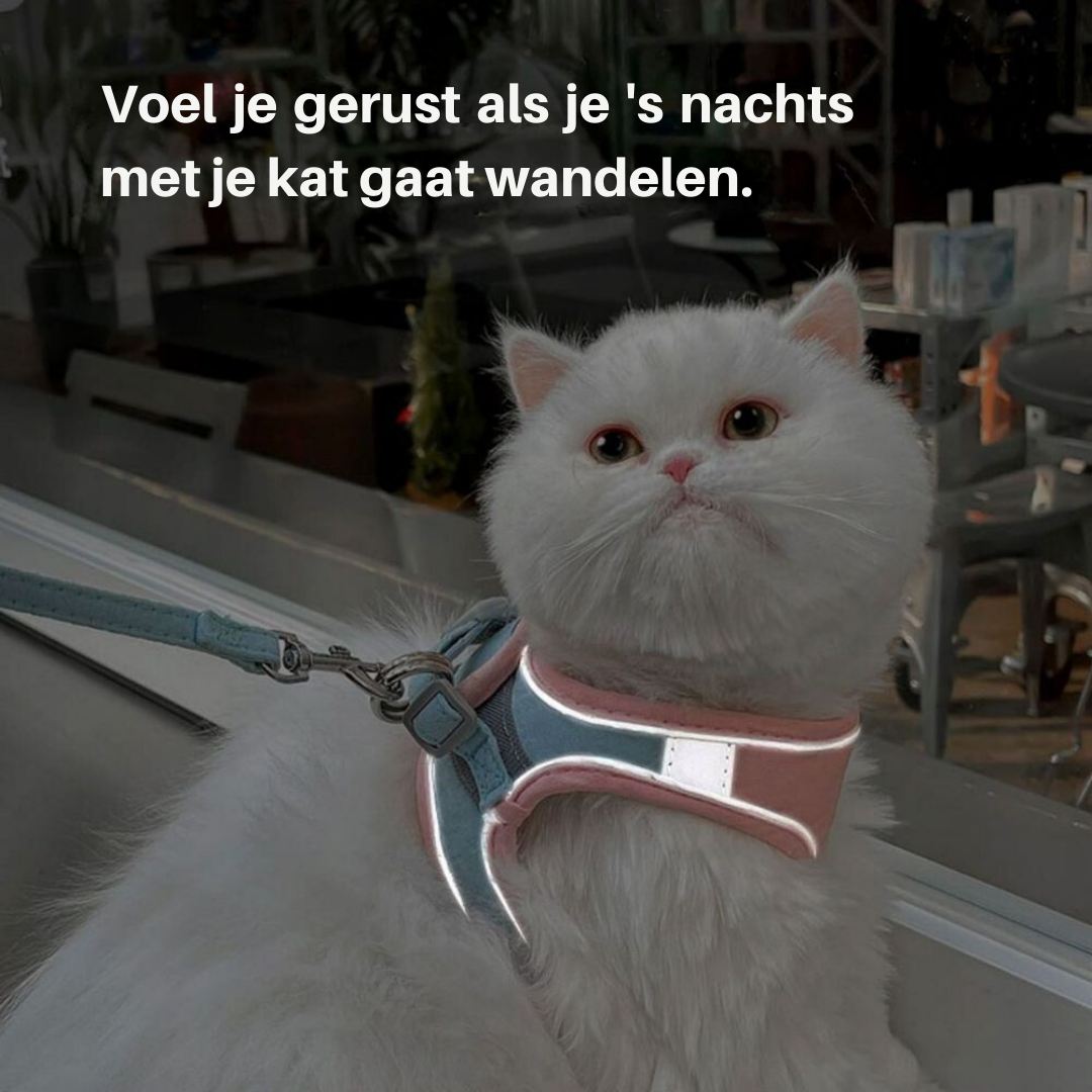 Kattentuig – Oscar