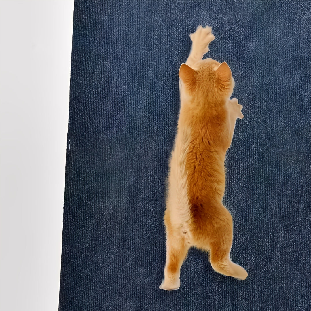 Krabmat – zelfklevende krabmat voor katten ter bescherming van meubels