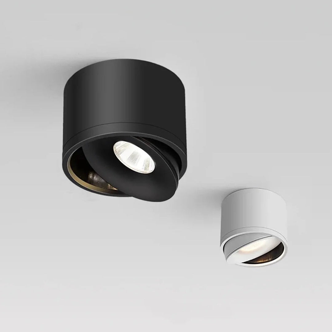 Plafondmontage richtbare spot, draaibaar modern licht