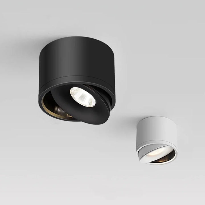 Plafondmontage richtbare spot, draaibaar modern licht