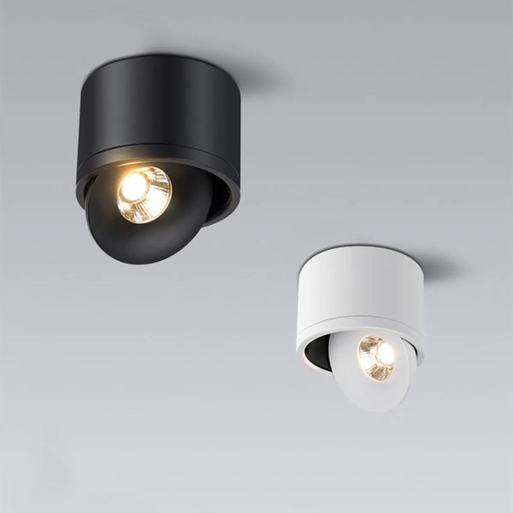 Plafondmontage richtbare spot, draaibaar modern licht