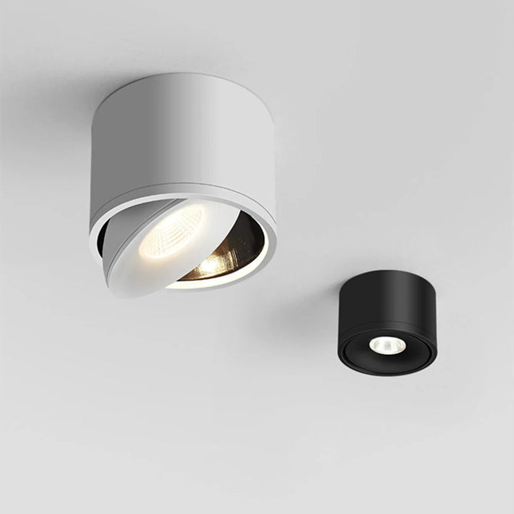 Plafondmontage richtbare spot, draaibaar modern licht