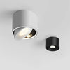 Plafondmontage richtbare spot, draaibaar modern licht