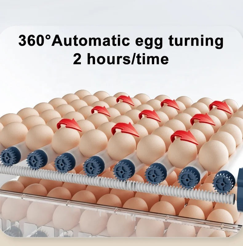 Automatische Broedmachine – HatchEase