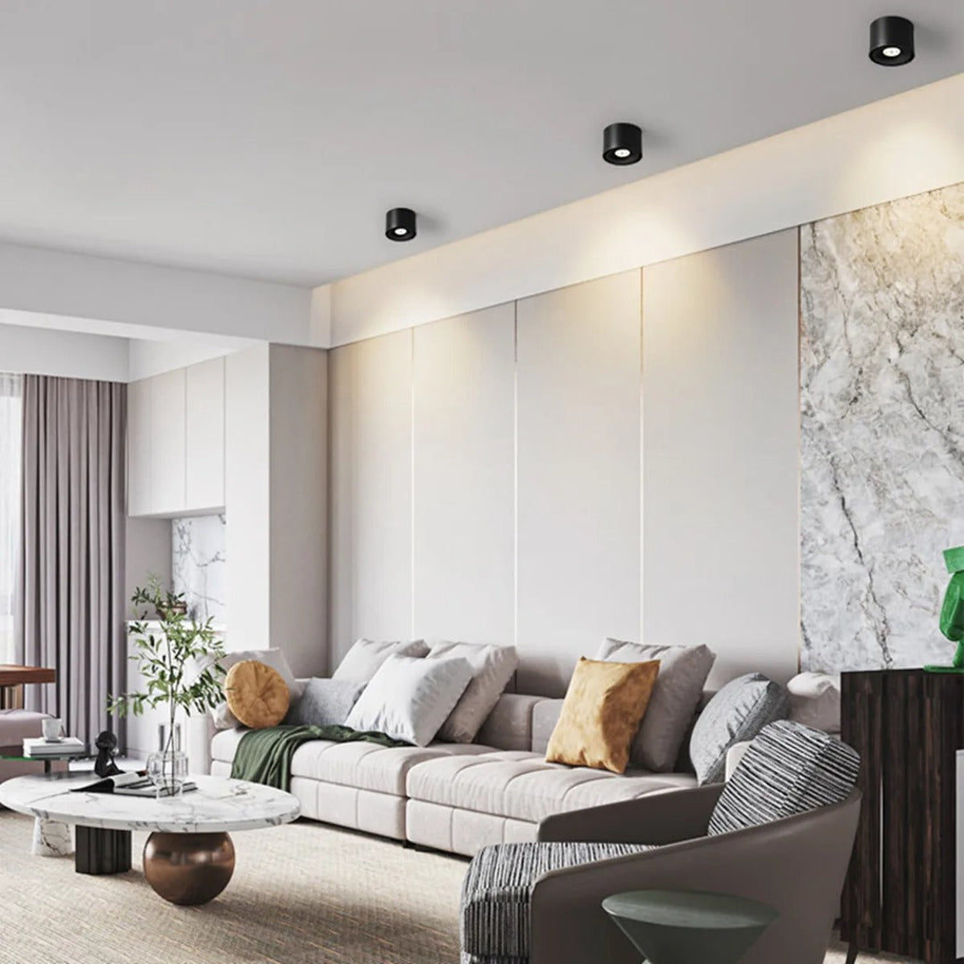 Plafondmontage richtbare spot, draaibaar modern licht