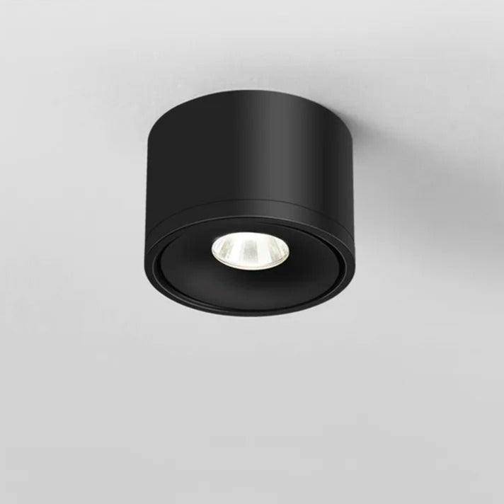 Plafondmontage richtbare spot, draaibaar modern licht