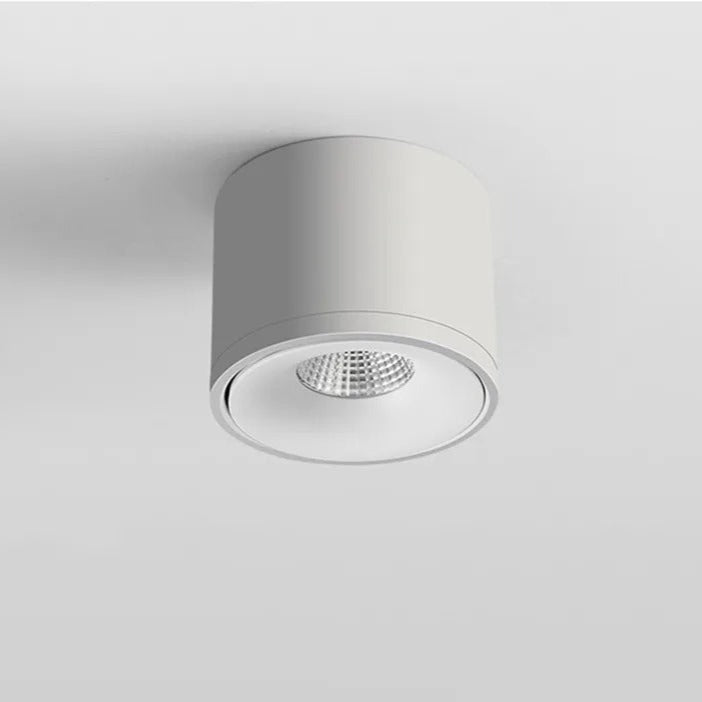 Plafondmontage richtbare spot, draaibaar modern licht