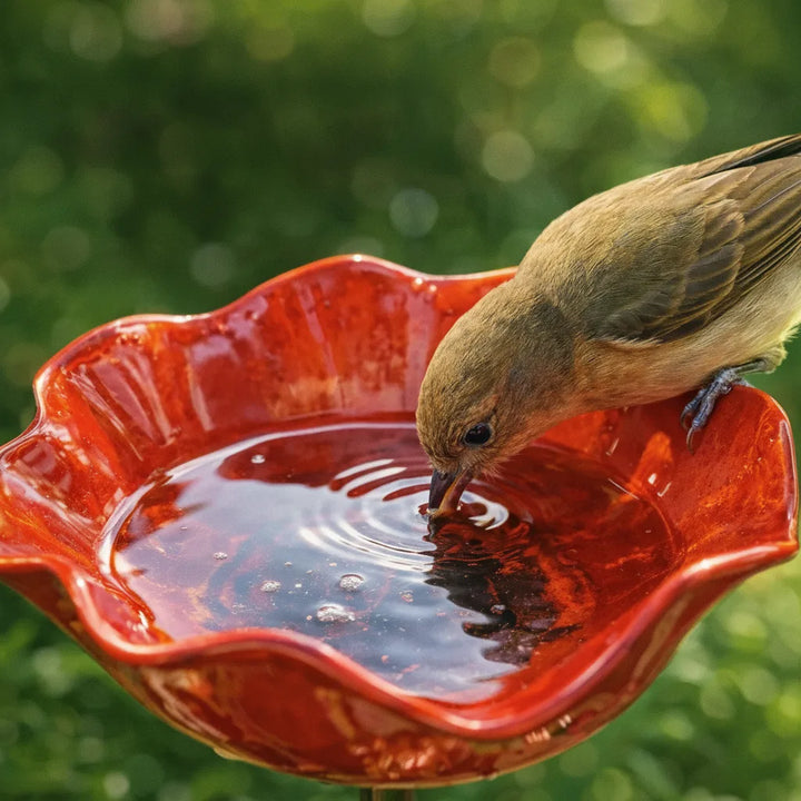 Metalen klaproos-vogeldrinkplaats op steker – tuin- en balkondecoratie, 60 cm