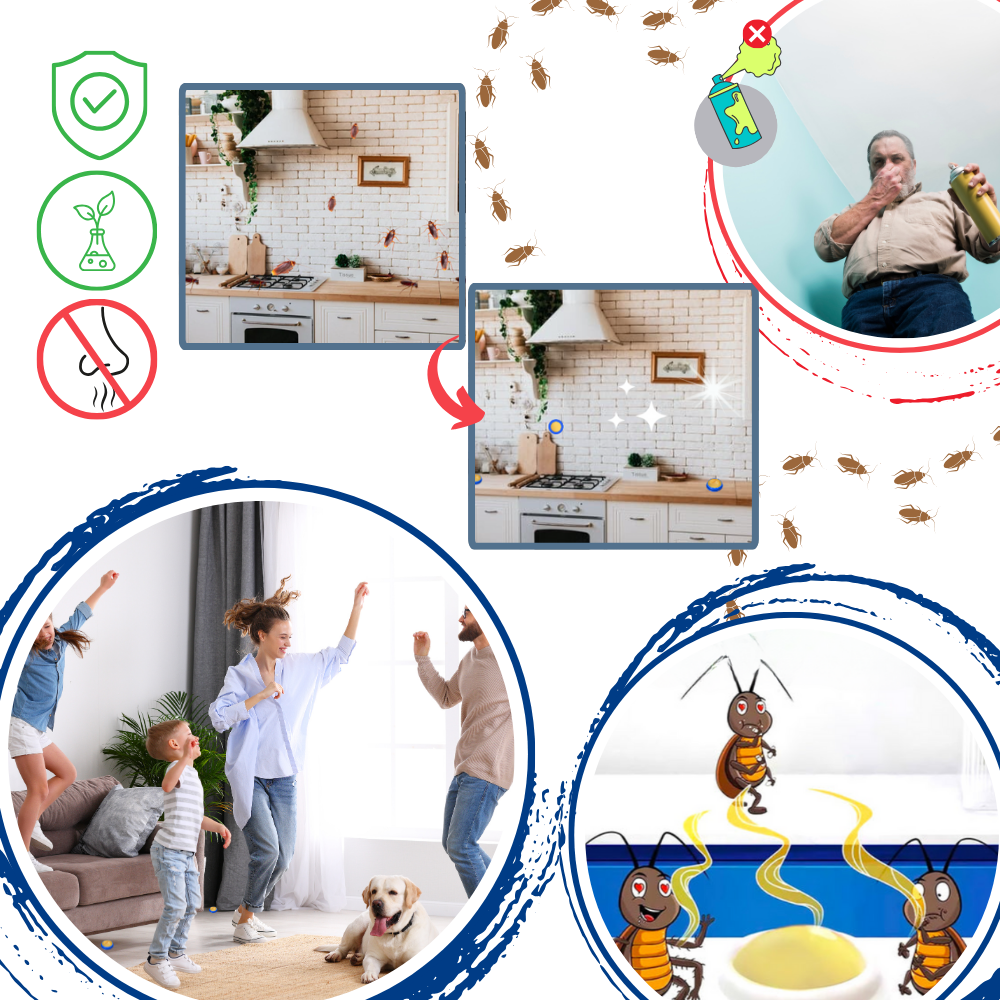 Geurloos kakkerlakkenlokdoosje voor ongediertebestrijding in huis