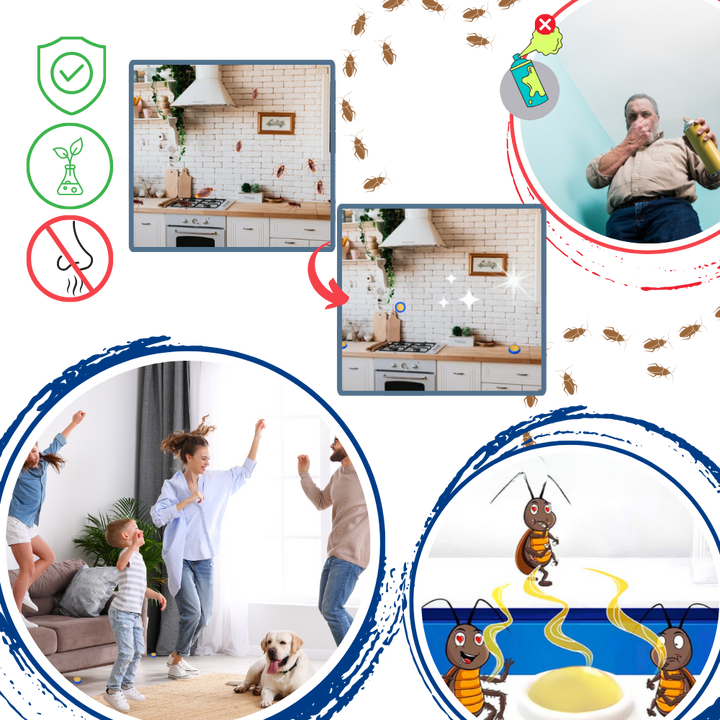 Geurloos kakkerlakkenlokdoosje voor ongediertebestrijding in huis