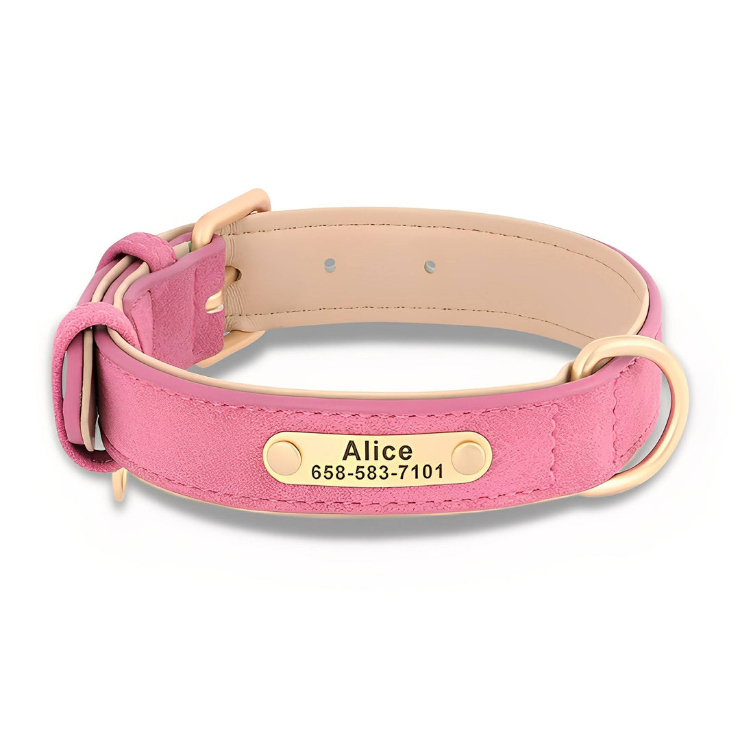 Gegraveerde leren hondenhalsband met gepersonaliseerd naamplaatje