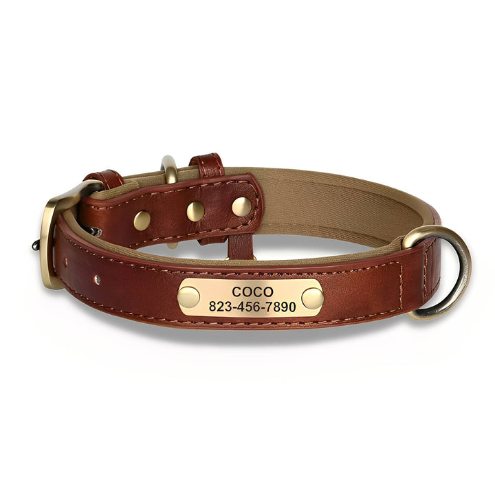 Gegraveerde leren hondenhalsband met gepersonaliseerd naamplaatje